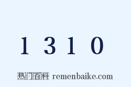 1310是什么意思的图片